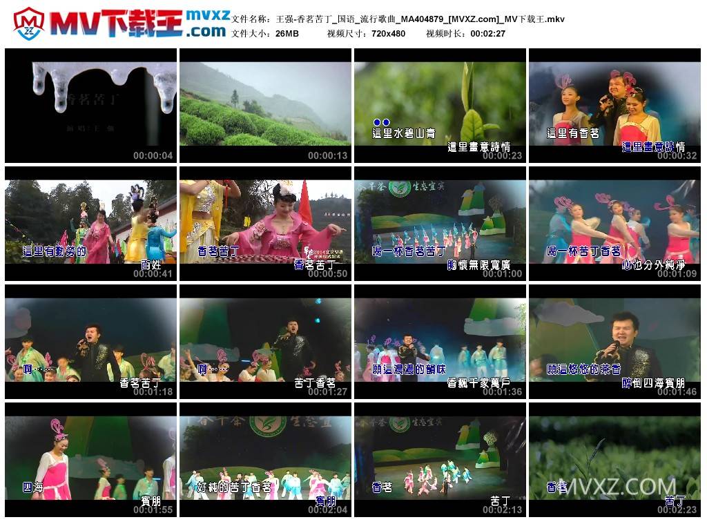 王强-香茗苦丁_国语_流行歌曲_MA404879